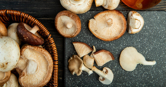Mushrooms and Immunity: How Fungi Can Boost Your Body's Defense System