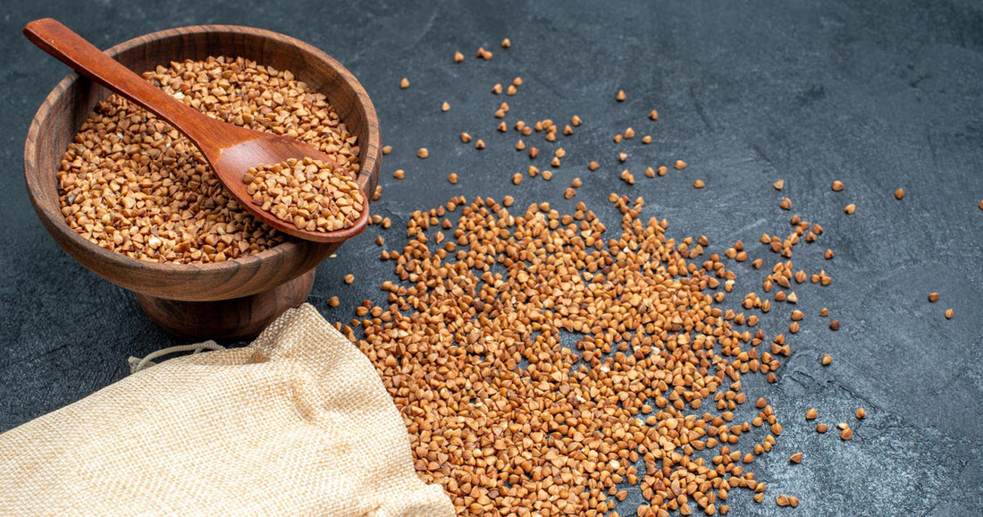 Sorghum