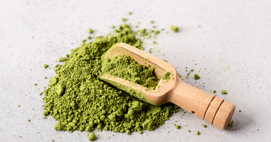 Moringa as a Natural Energy Booster: How It Can Enhance Your Vitality