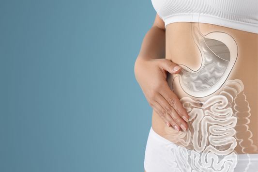 Akkermansia muciniphila: The Gut’s Guardian for Metabolic and Immune Health