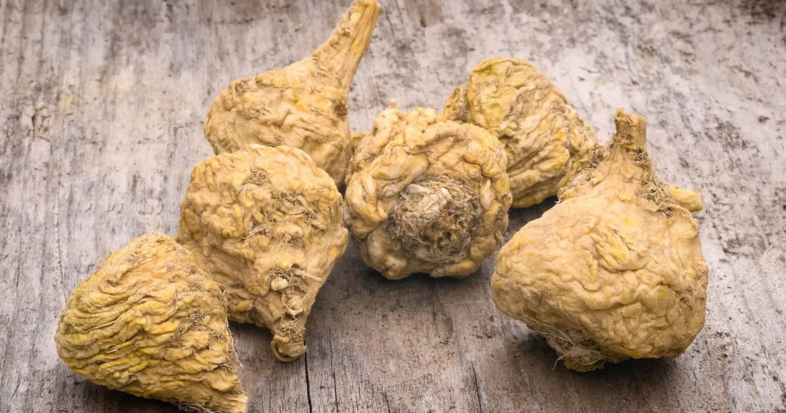 Exploring Maca Root Benefits for Energy, Balance, and Vitality