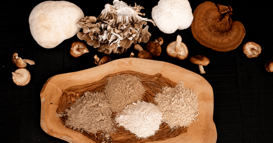The Complete Guide to Mushroom Supplements