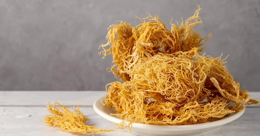 6 Full-Body Benefits That Make Sea Moss Worth Trying