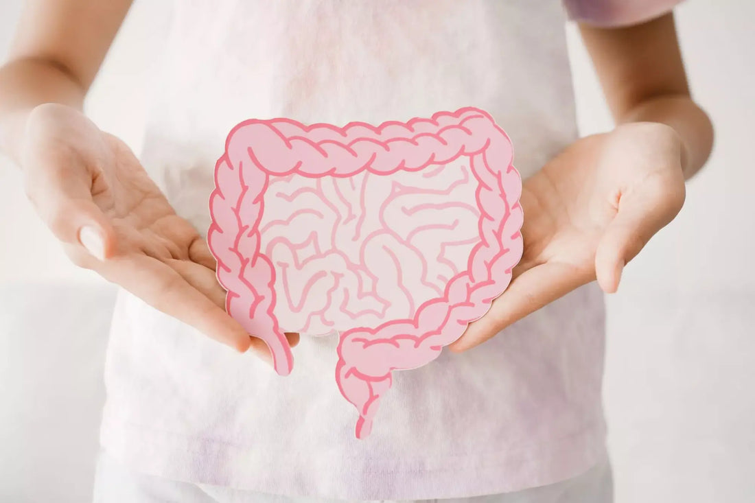 Gut Health: Unlocking the Key to Overall Wellness