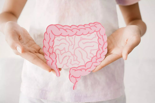 Gut Health: Unlocking the Key to Overall Wellness