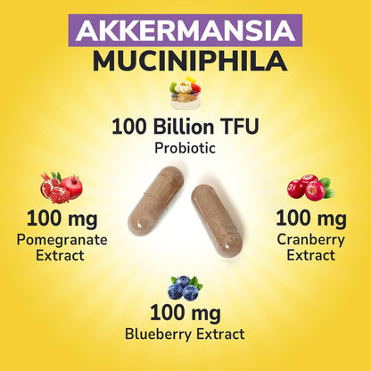 Akkermansia Probiotic 100 Billion TFU