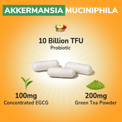 Akkermansia Probiotic 10 Billion TFU
