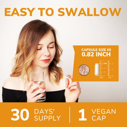Akkermansia Probiotic 10 Billion TFU