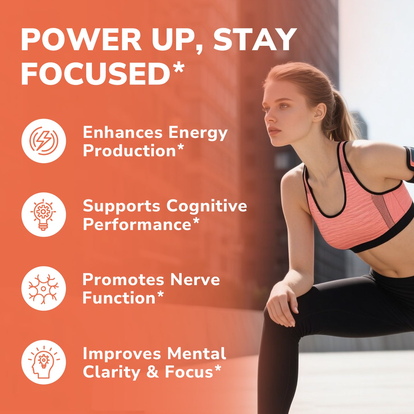 Acetyl L-Carnitine+