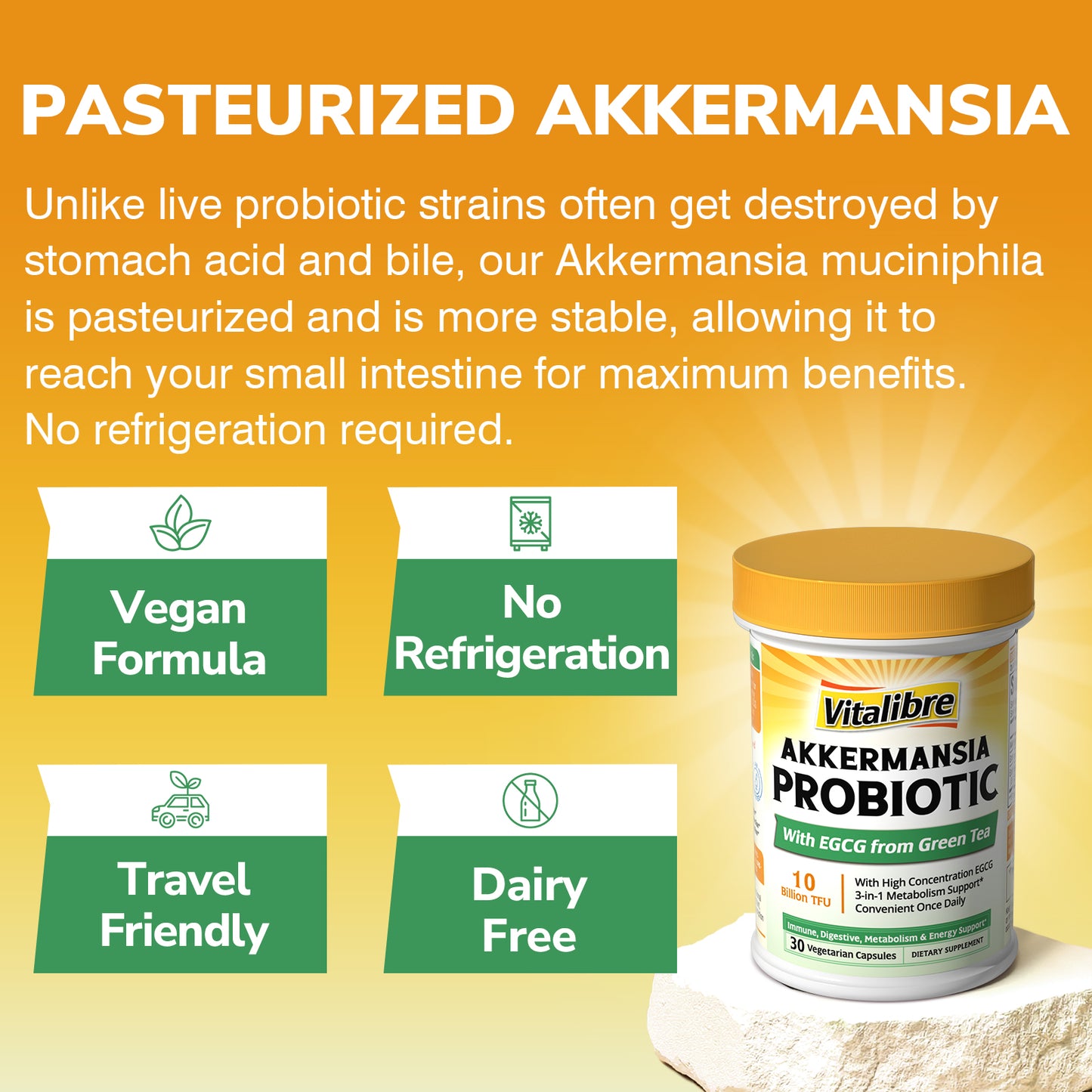 Akkermansia Probiotic 10 Billion TFU