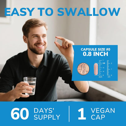 Men's Probiotics with Akkermansia